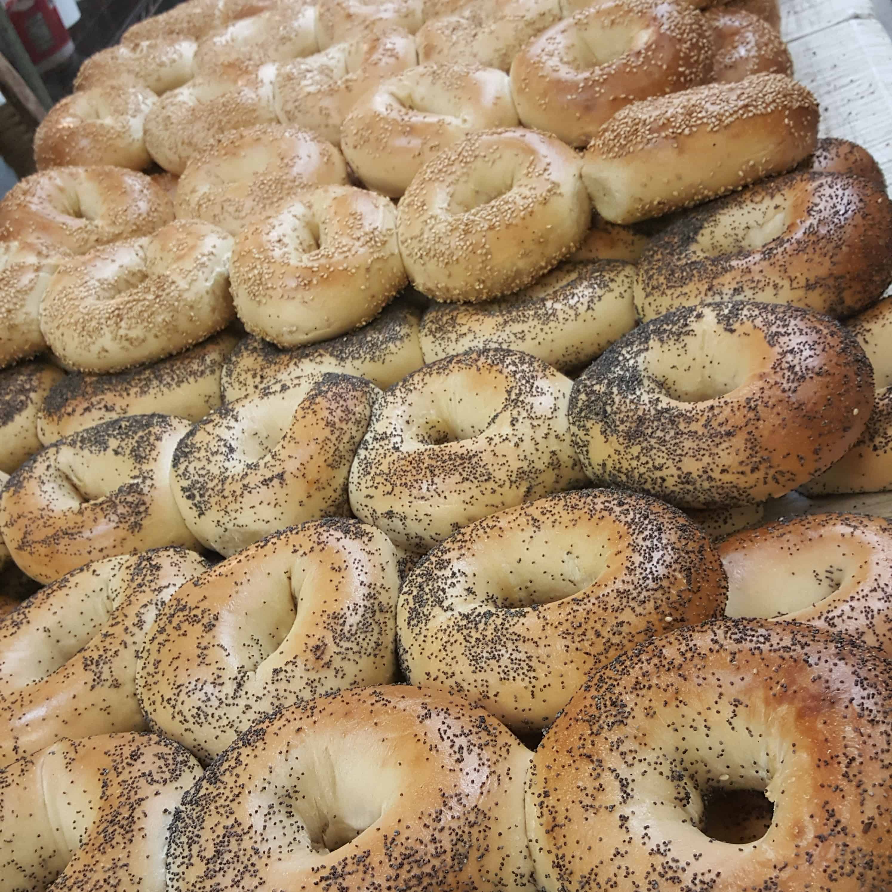 A large array of freshly baked bagels is displayed in rows by a top catering company on Long Island, NY. The top rows are sesame seed, while the bottom are poppy seed. The golden-brown crust suggests they are expertly baked, perfect for any event catered with care and precision.